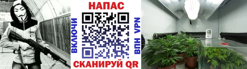 купить  сайты  Короча  кракен вход  Марихуана OG Kush 